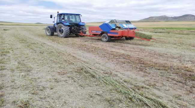 Ulaş'ta yem bitkileri hasadı başladı