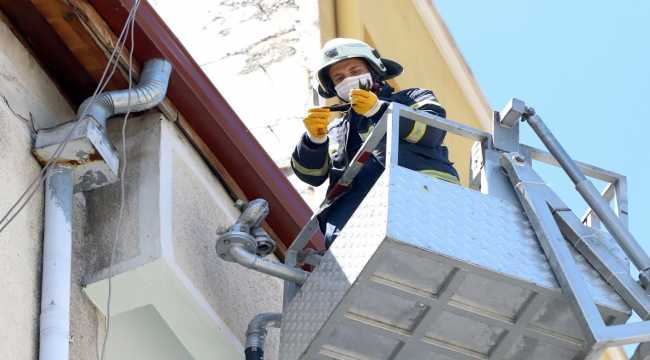 Yağmur oluğuna sıkışan ebabili itfaiye kurtardı
