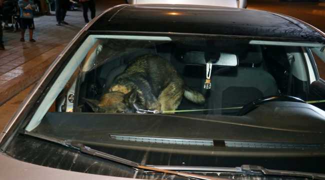 Adana'da helikopter ve drone destekli narkotik uygulaması
