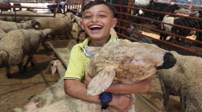 Adana'da Kurban Bayramı öncesi hayvan satış yerlerinde denetim