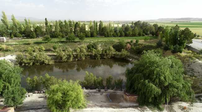 Adı çölleşmeyle anılan Karapınar'daki arazisini 