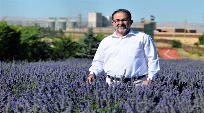 Afşin, lavanta tarlalarıyla turizme kapı aralıyor