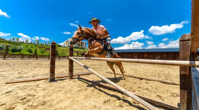 Altınköy Açık Hava Müzesi yerleşkesinde at çiftliği açıldı