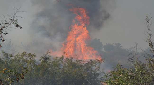 Antalya'da çöplük alanda yangın