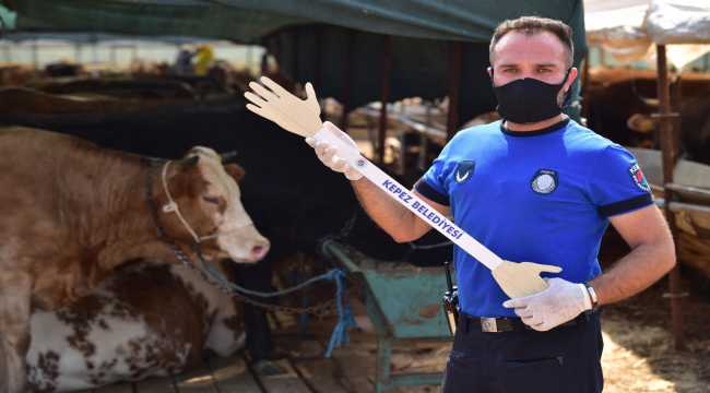 Antalya'da kurban pazarlarında 