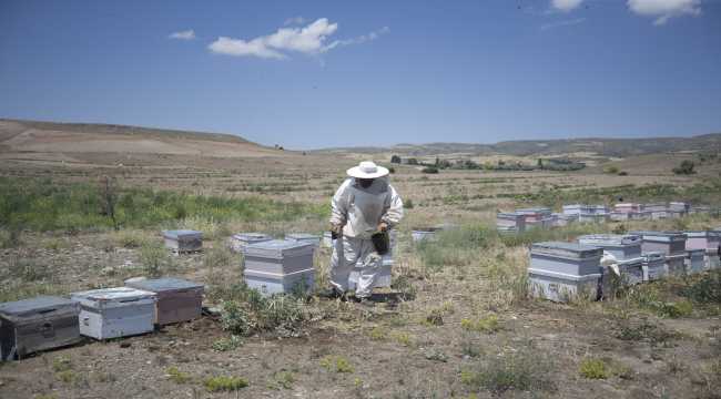 Arıları için evine 860 kilometre uzakta yaşıyor