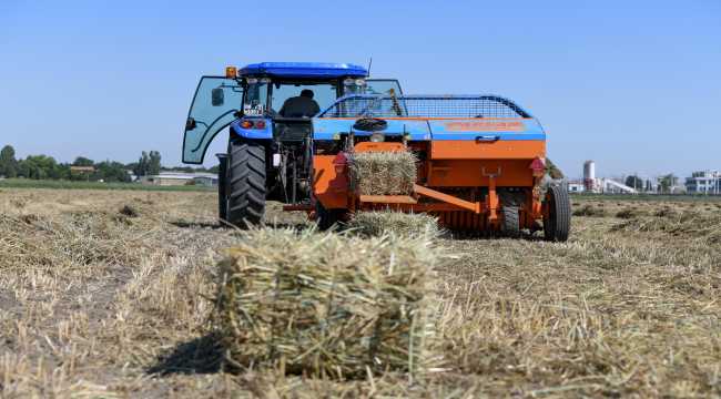 Atatürk Orman Çiftliğinde ekilen Macar fiğinin ilk hasadı yapıldı