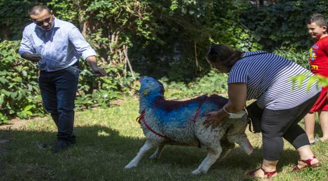 Bakan Pakdemirli'nin hediyesi 