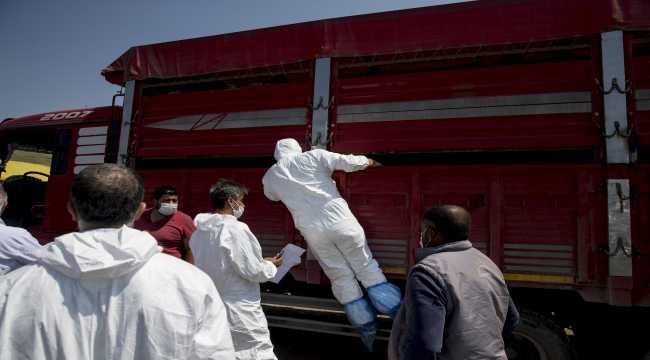 Başkentte kurban pazarları denetlendi