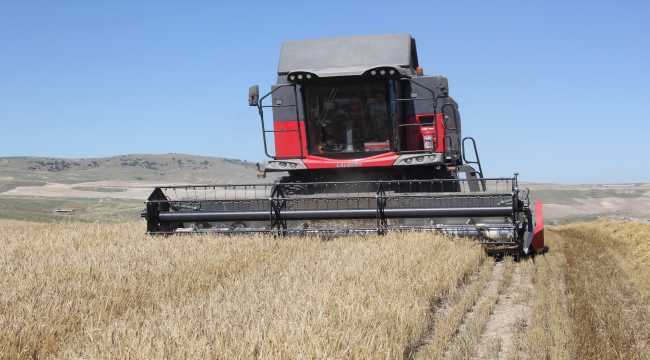 Beypazarı Ziraat Odasından tarlalarda biçerdöver denetimleri