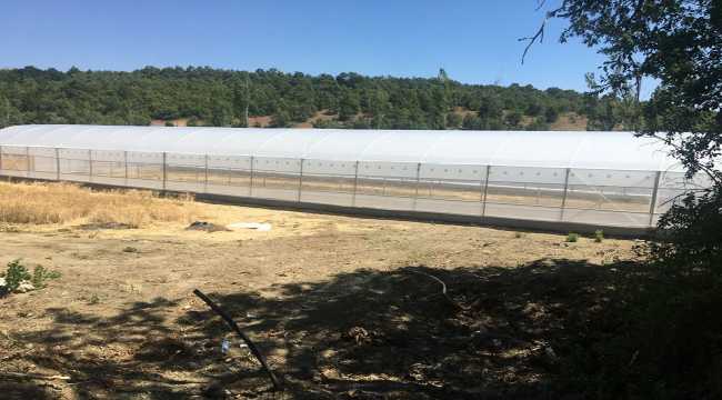 Beyşehir'in 7 mahallesinde kurulan örtü altı seralarda üretim başladı