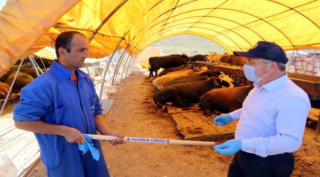 Çankırı'da kurban pazarlığında 