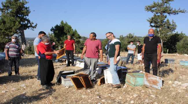 Erdemli'de arı kovanlarına zarar verildiği iddiası