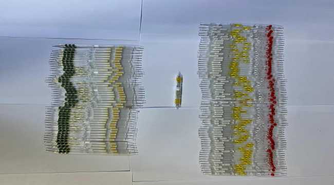 GÜNCELLEME - Hatay'da 115 tüp kobra zehri ele geçirildi 