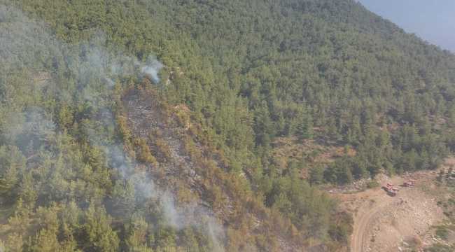 GÜNCELLEME - Hatay'da orman yangını