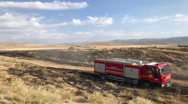 Yangında 80 dönümlük arazi küle döndü