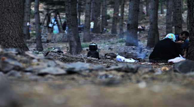 Doğaseverlerin huzur bulduğu adres: Yavşan Yaylası