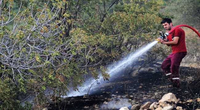 Kahramanmaraş'ta çıkan yangında 1 hektar ormanlık alan zarar gördü
