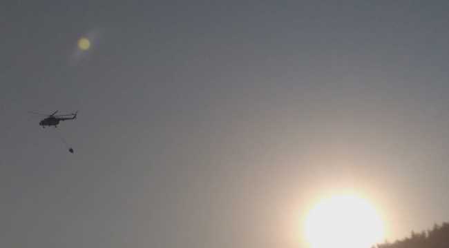 Kahramanmaraş'ta çıkan yangında 2 hektar ormanlık alan zarar gördü
