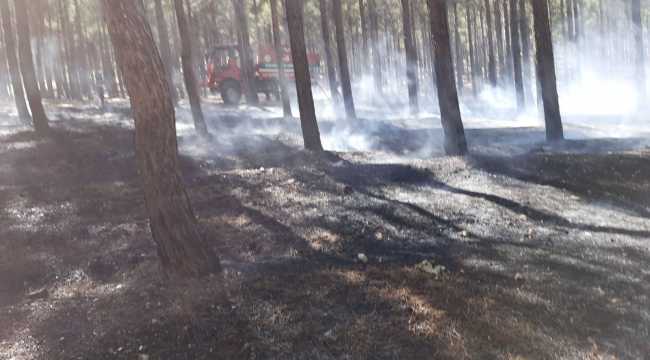 Kahramanmaraş'ta orman yangını