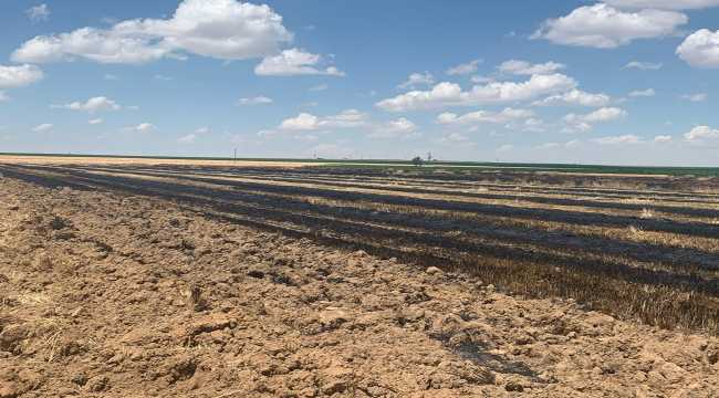 Karapınar'da ekin yangını
