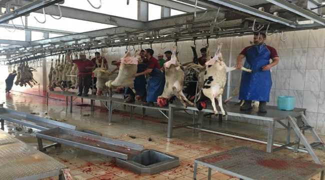 Karapınar'da kurban kesim kursu açıldı