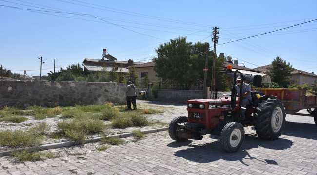 Karapınar'da yabancı ot temizliği yapılıyor