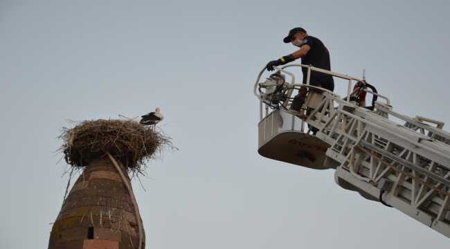 Kayseri'de itfaiye ekibi anneleri ölen leylek yavruları için seferber oldu