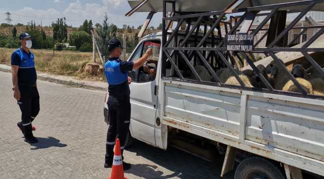 Kırıkkale Belediyesinin Kurban Bayramı hazırlıkları 