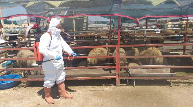 Kırşehir Belediyesinden bayram denetimi