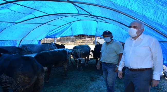 Kızılcahamam'da kurbanlık pazarı yenilendi