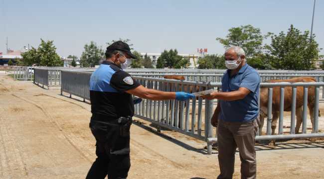 Konya'da kurbanlıklar pazara çıktı