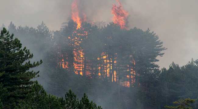 Konya'da orman yangını 