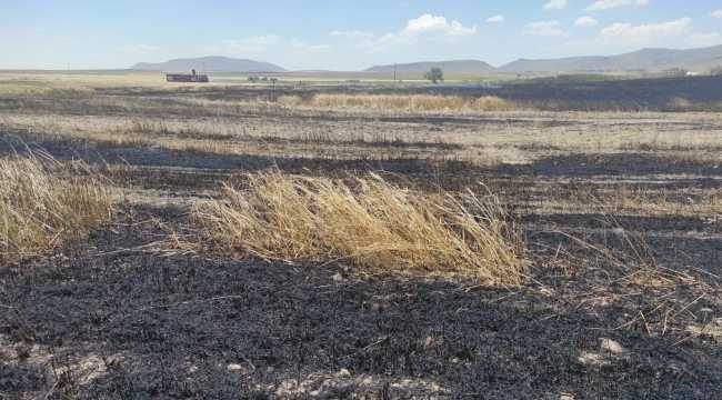 3 ayrı yerde 50 dekar ekin yandı