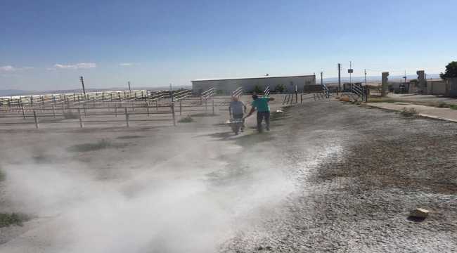 Kurban Bayramı öncesi canlı hayvan pazarı dezenfekte edildi
