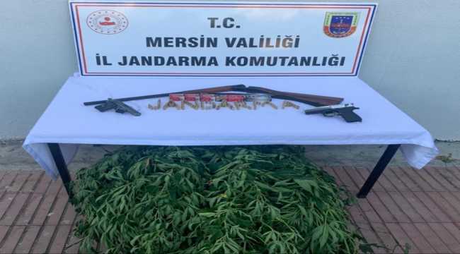 Mersin'de bahçesinde Hint keneviri yetiştiren şüpheli gözaltına alındı