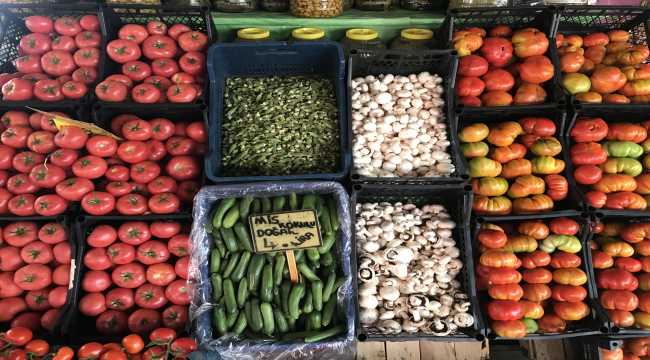 Mersin, Hatay ve Adana'nın yaş sebze meyve ihracatı arttı