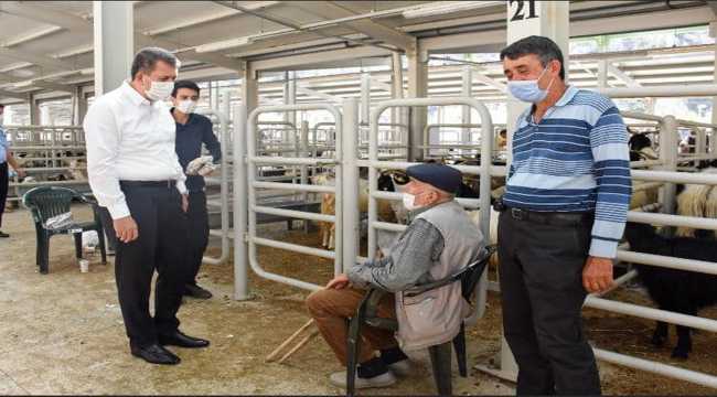 Nallıhan Belediye Başkanı Öntaş, kurbanlık pazarında incelemelerde bulundu