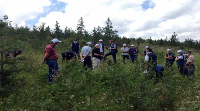 Orman Genel Müdürlüğü yetkilileri, “Sarıçam Gençleştirme Çalışması