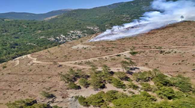 Örtülük alan yangını kontrol altına alındı