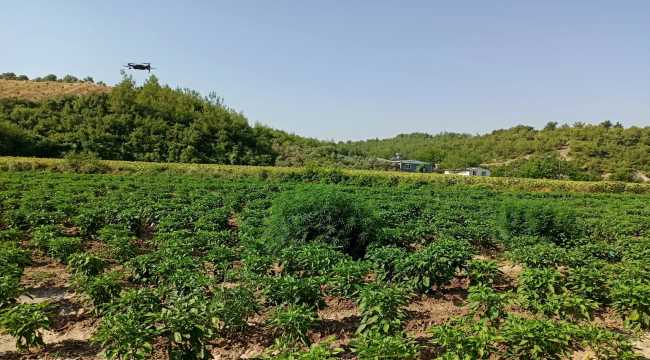 Osmaniye'de uyuşturucu operasyonunda 2 zanlı yakalandı
