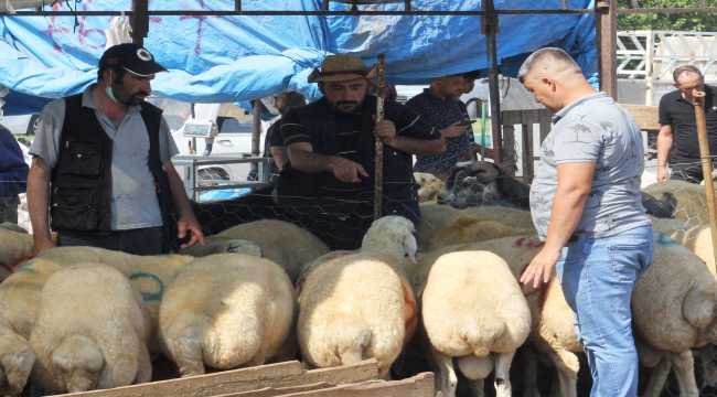 Osmaniye'deki kurban pazarında arife günü hareketliliği
