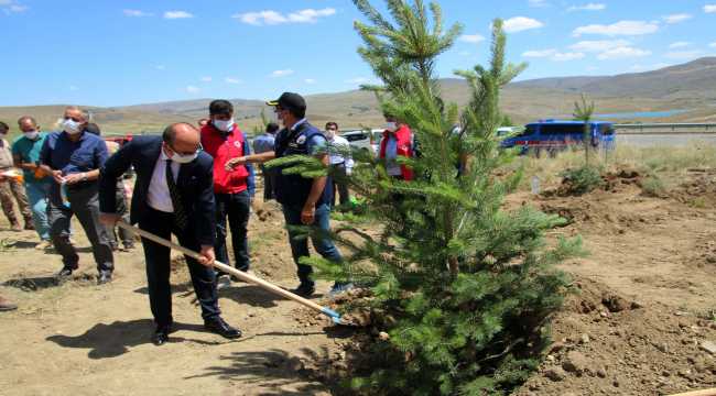 Şarkışla'da 15 Temmuz Hatıra Ormanına 100 fidan dikildi 