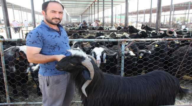 Serik'te Kurban Bayramı hareketliliği 