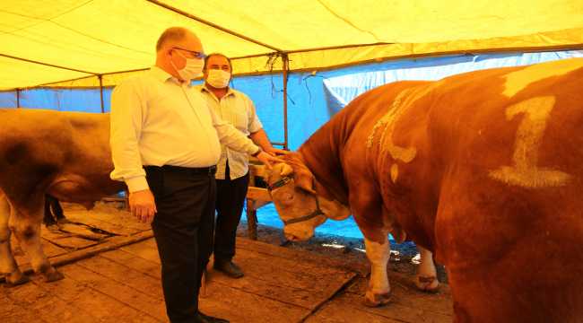 Sivas protokolünden 