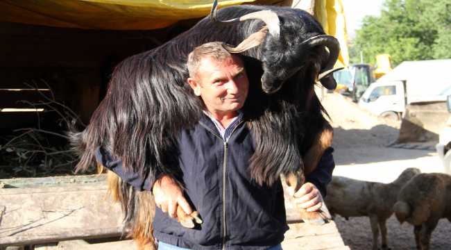 Suşehri Belediye Başkanı Yüksel, hayvan pazarını inceledi