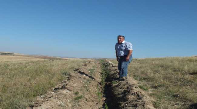 Ulaş'ta 11 bin 112 fidan toprakla buluşturuldu