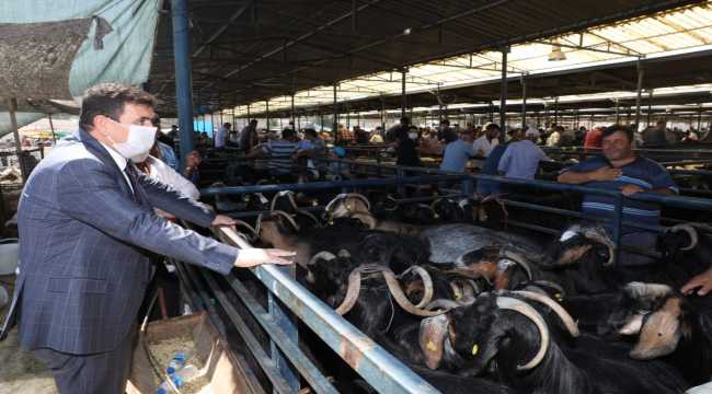 Vali Arslantaş, hayvan pazarında incelemede bulundu
