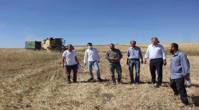 Zara'da biçerdöverler denetlendi