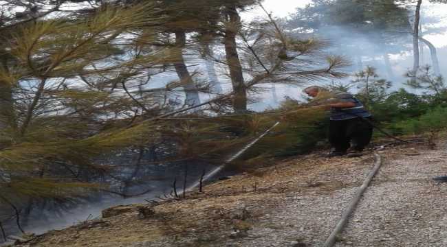 Adana'da orman yangını
